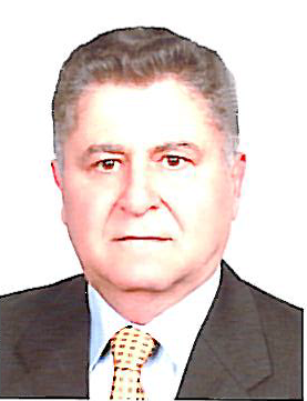 Mir Majid Ghaemi